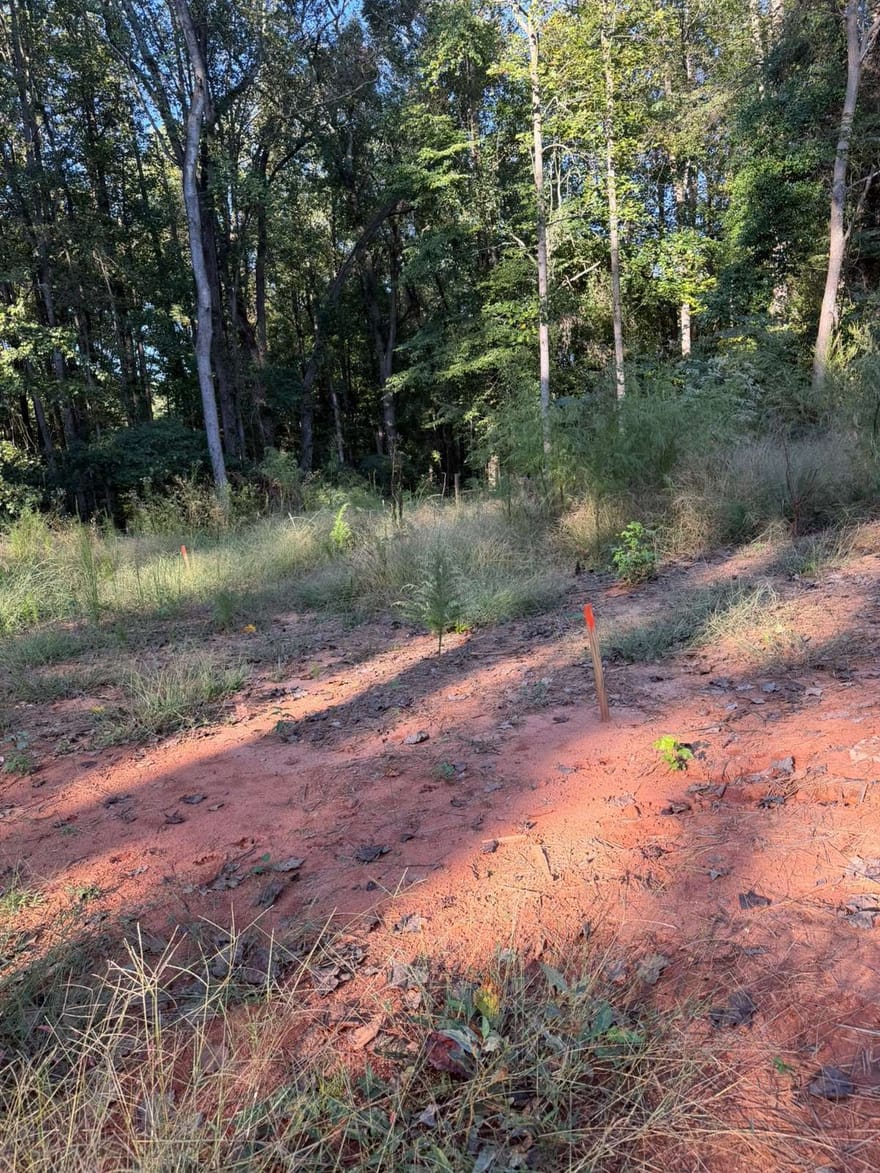 92 Ida Pace Road, Nicholson, Georgia