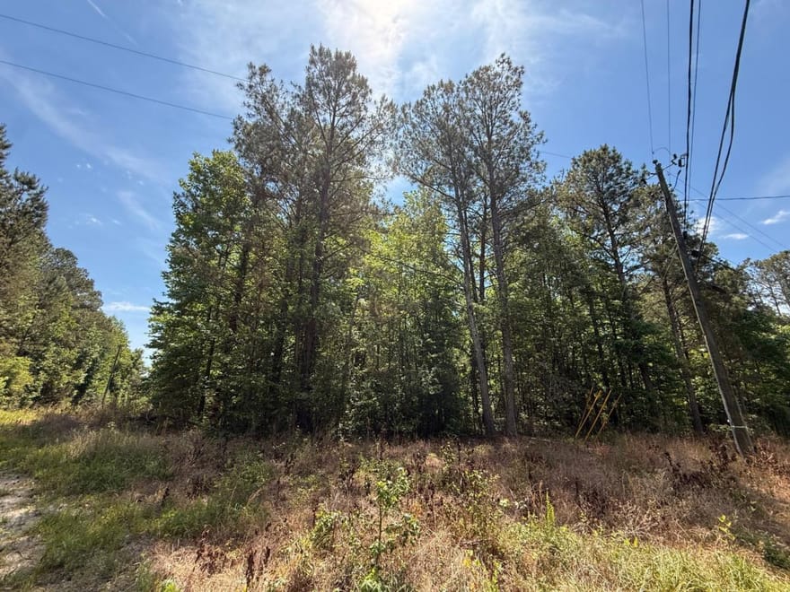 467 N Raburn Road, Bremen, Georgia