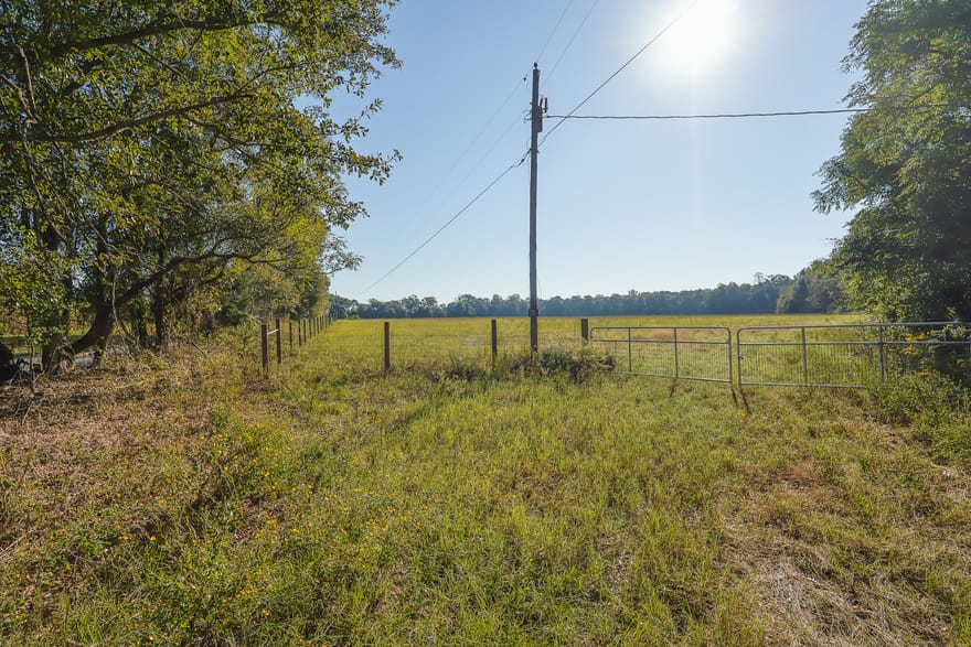 Highway 358, Danville, Georgia