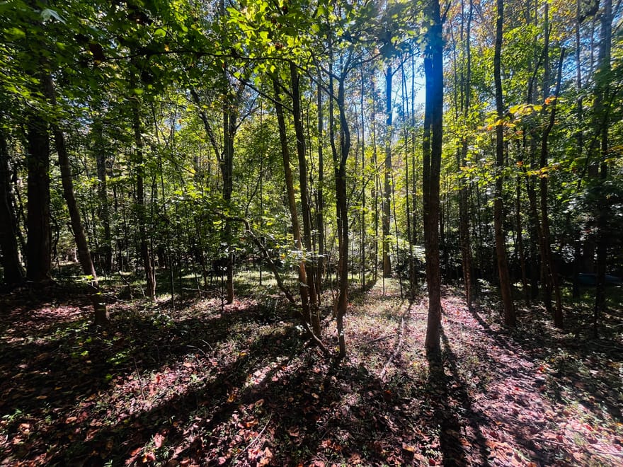 LOT 14 Lakeview Court, Baldwin, Georgia