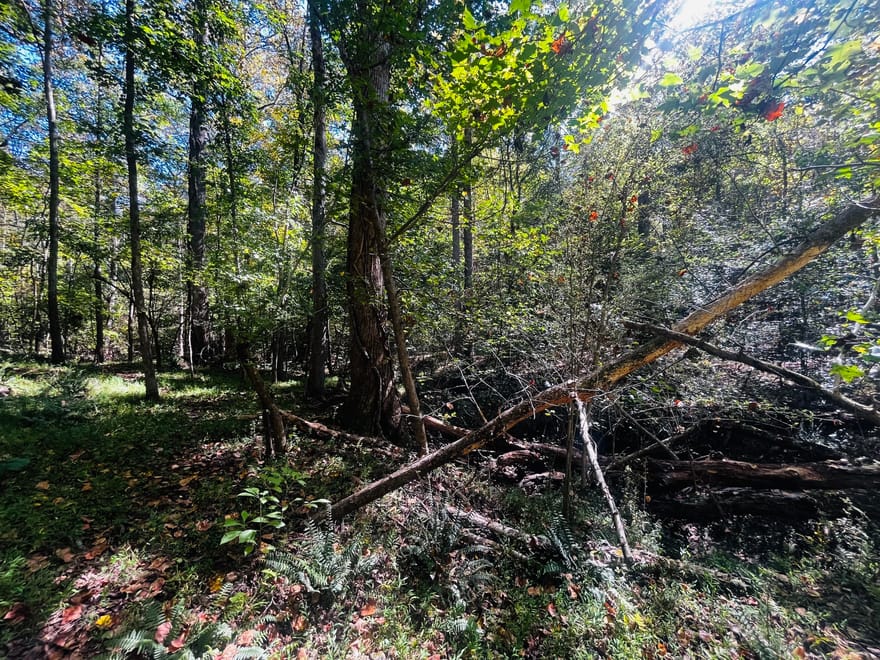LOT 14 Lakeview Court, Baldwin, Georgia