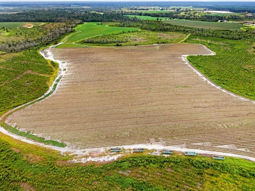 Cedar Lane, Nicholls, Georgia