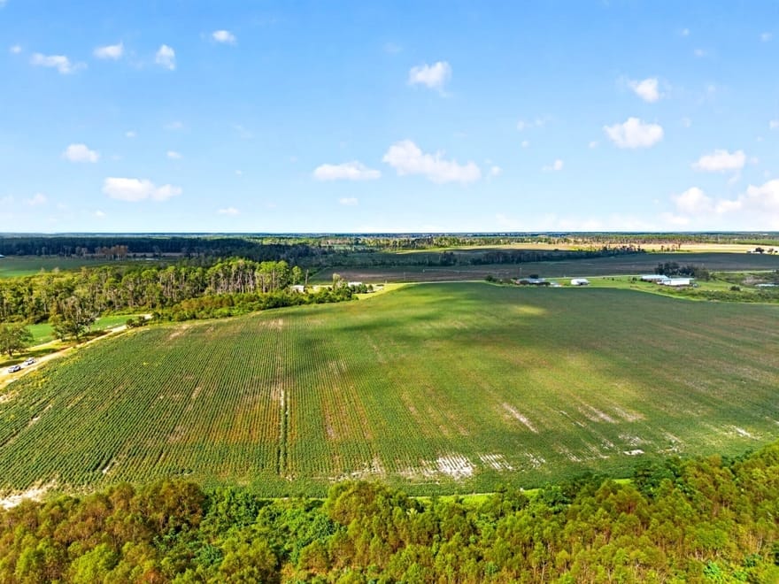 Cedar Lane, Nicholls, Georgia
