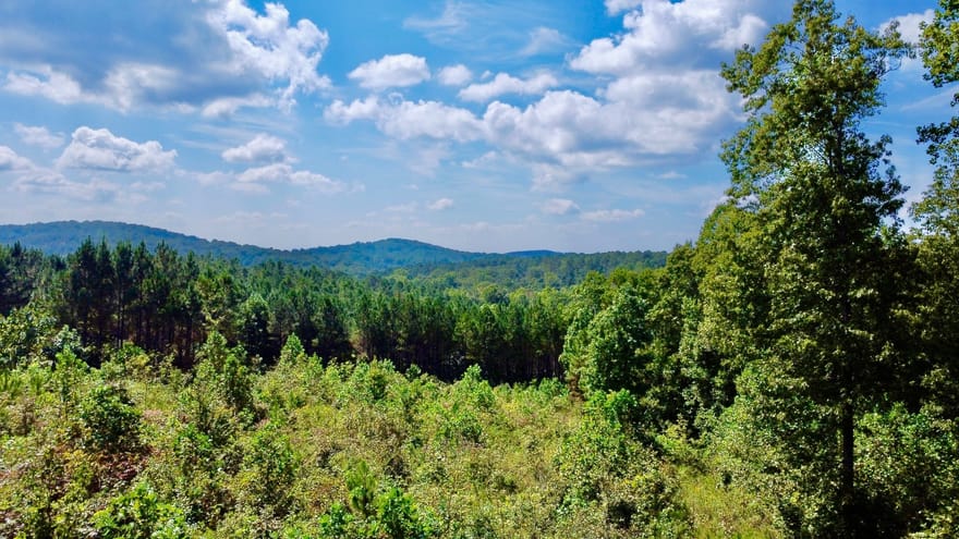 271 Highgrove Drive, Talking Rock, Georgia