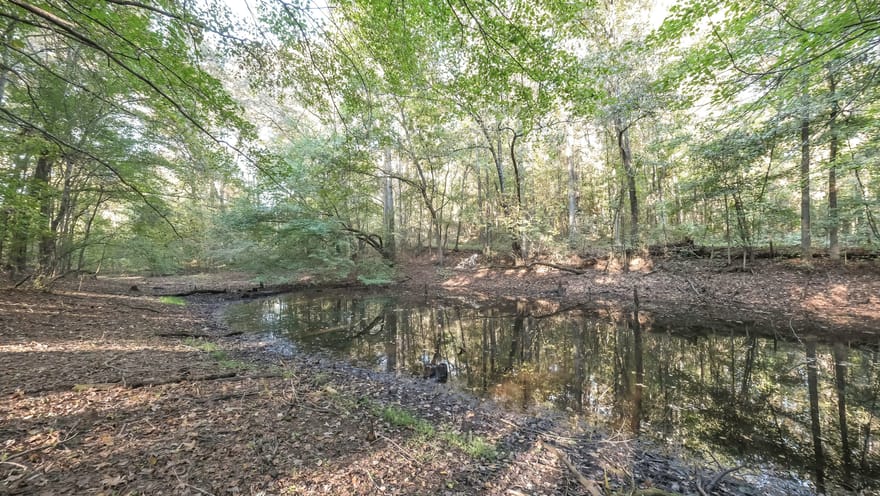 Daniel Road, Tallapoosa, Georgia