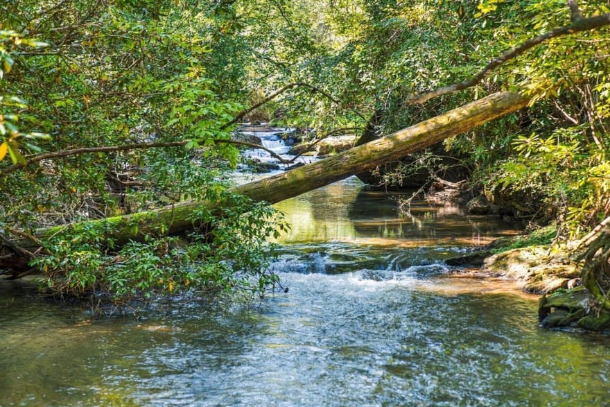 264 Lickskillet Hollow, Blue Ridge, Georgia