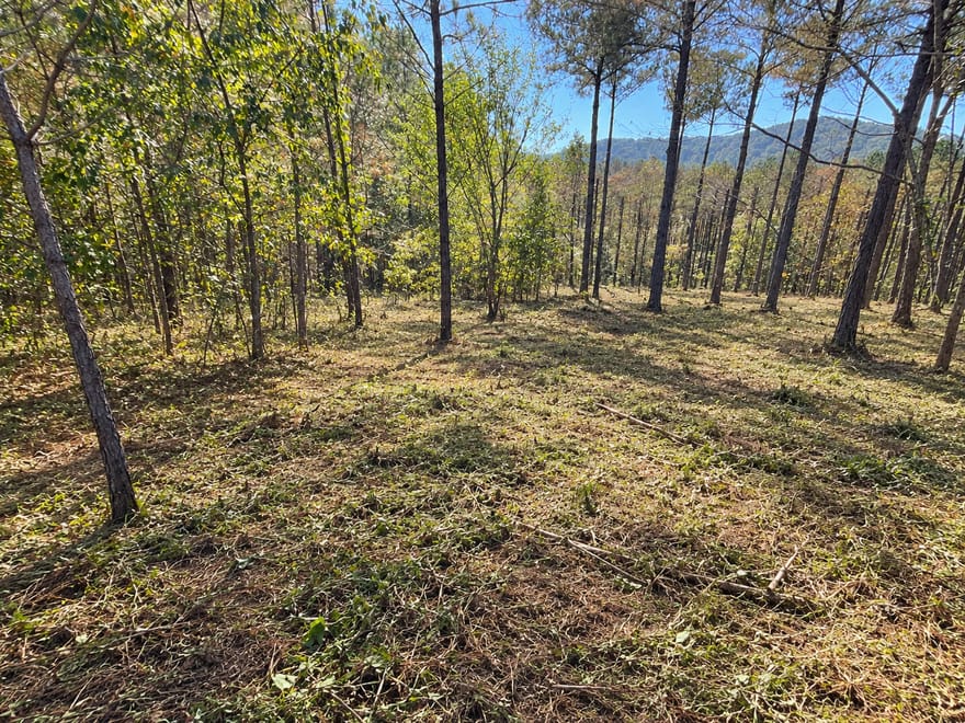 Eastview Tr, Ellijay, Georgia