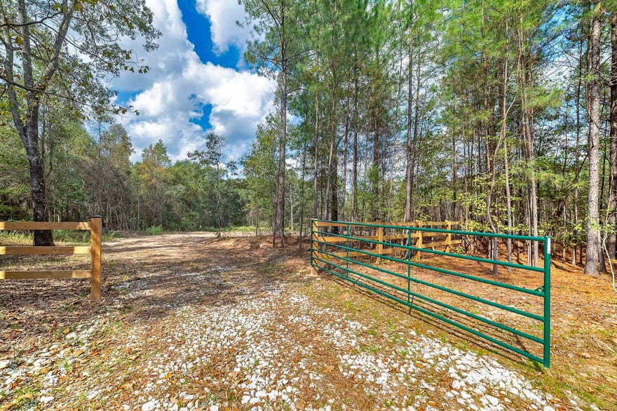 Thomason Road, Monticello, Georgia