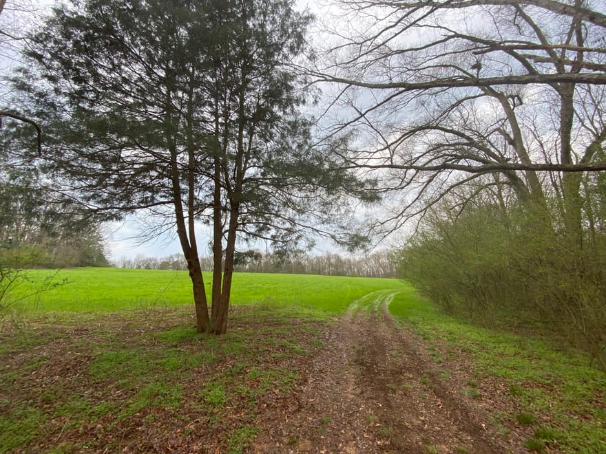 Maxwell Mill Road, Dewy Rose, Georgia