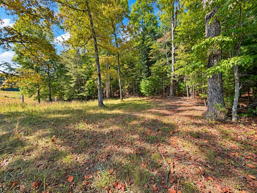 LT 6 Spring Camp Road, Ellijay, Georgia
