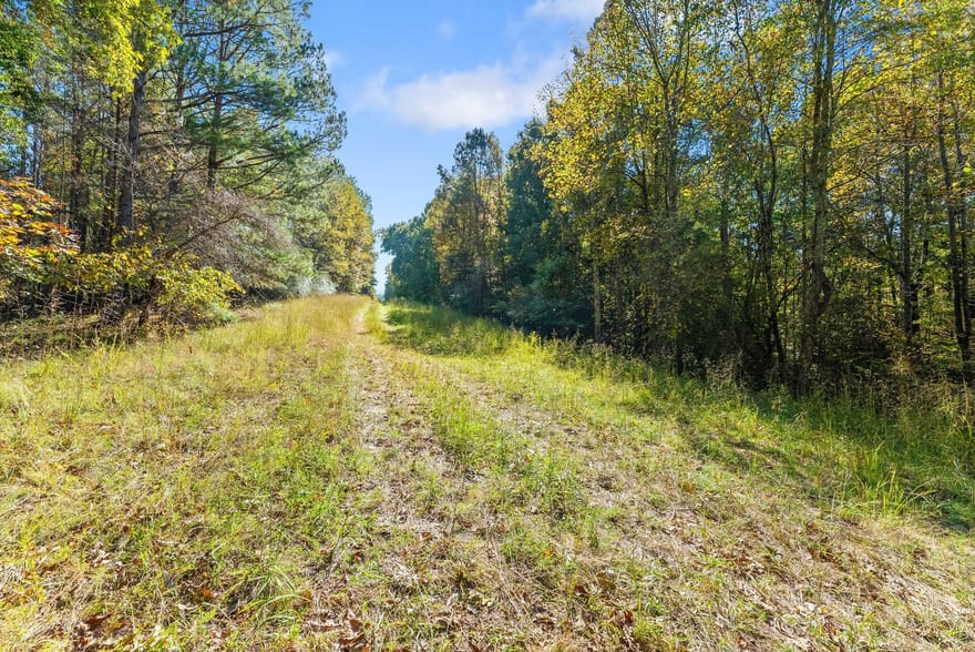 Eston Smith Road, Gainesville, Georgia