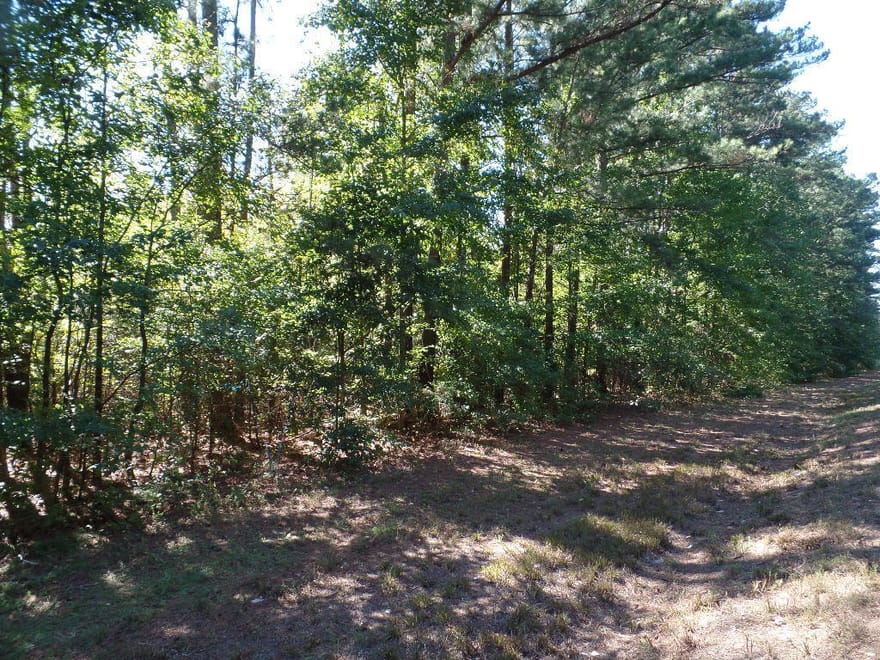 LOT 5 E Highway 16, Sharpsburg, Georgia