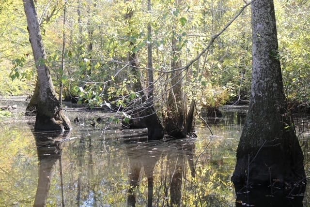 196 Gumlog Road, Kite, Georgia