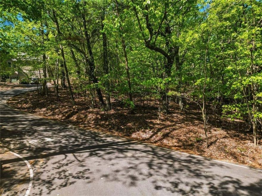 1095 Mcelroy Mountain Drive, Big Canoe, Georgia